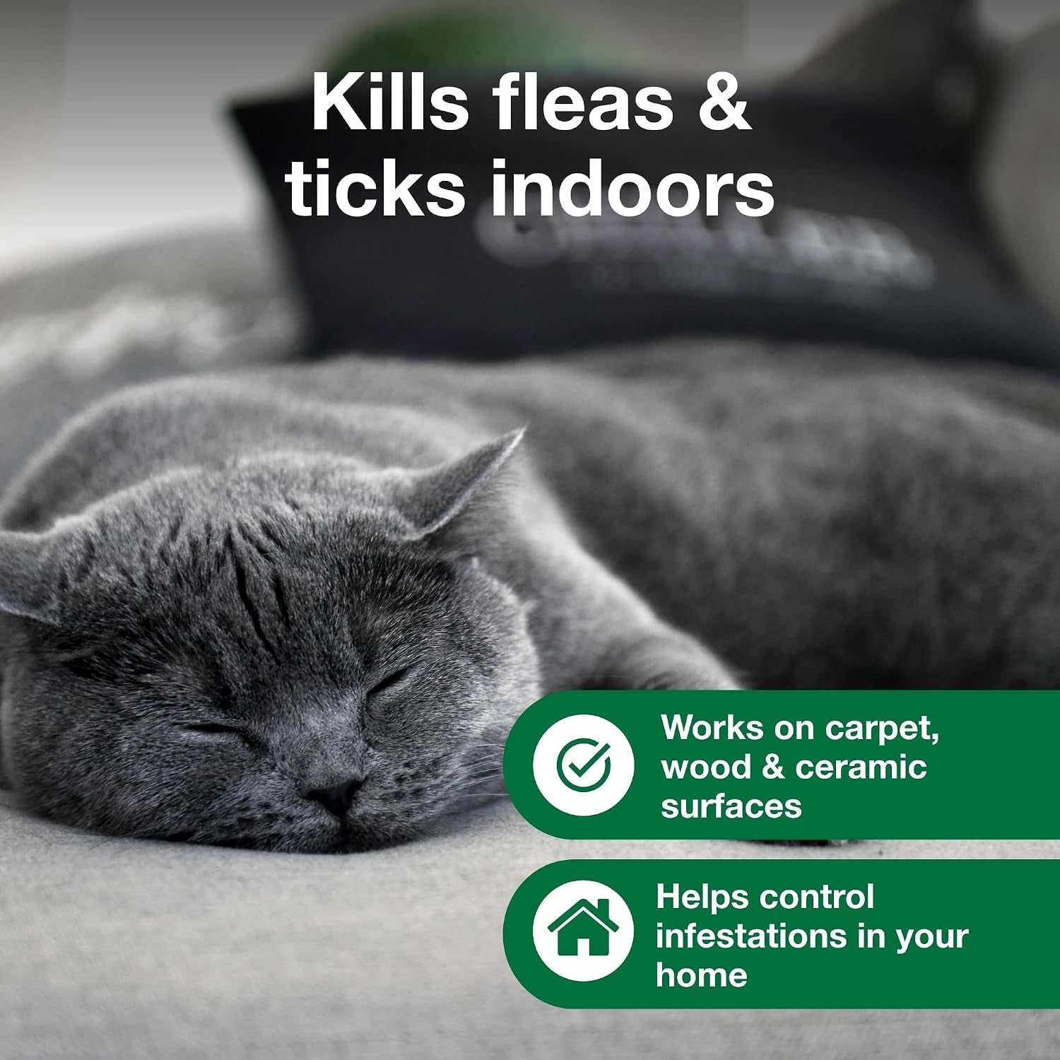 advantage-carpet-upholstery-spot-spray-kills-fleas-ticks-bedbugs-16-oz