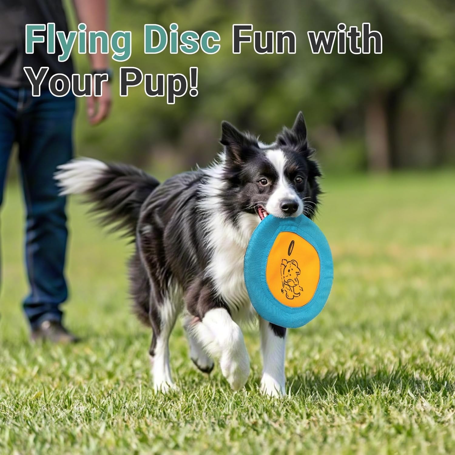 bifeaw-3-packs-nylon-interactive-dog-flying-disc-floating-dog-toys-for-aggressive-chewers-water-toys-for-dogs-blue-and-yellow