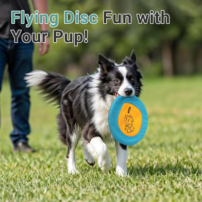 Bifeaw 3 Packs Nylon Interactive Dog Flying Disc - Floating Dog Toys for Aggressive Chewers - Water Toys for Dogs (Blue and Yellow)2