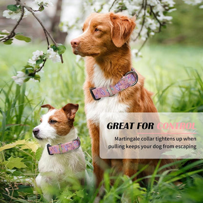 Hikiko Martingale Collar for Dogs Adjustable Soft Nylon Dog Collars with Cute Patterns for Small Medium Large Dog（Pink Butterfly,Medium）5
