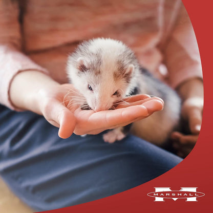 Marshall Premium Ferret Diet Senior Formula – 4 Lbs – Supports Digestion, Muscle Health & Vitality – Balanced Nutrition for Aging Ferrets with Essential Nutrients5