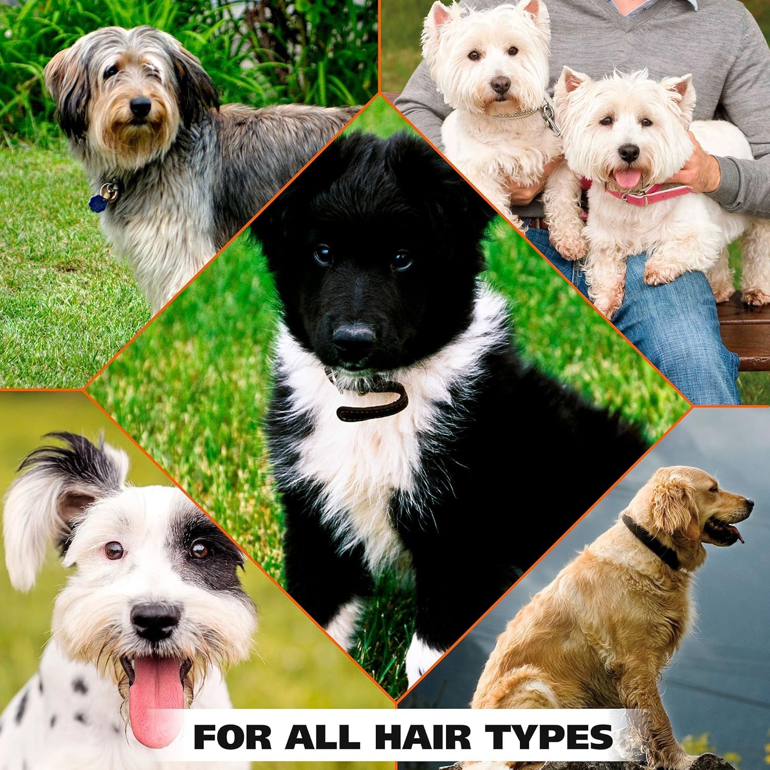 wahl-usa-pet-deodorant-spray-for-dogs-eucalyptus-spearmint-8-oz-deodorize-and-refresh-yours-dogs-coat-and-skin-between-baths-for-a-clean-smelling-pet-model-820011a