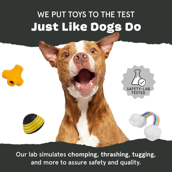 Barkbox Hambone Super Chewer Tough Dog Chew Toy - Toy for Large Dogs | for Aggressive Chewers, Plush Cover with Rubber Core - 2 Toys in 1 - Two Layer Treat Dispensing Dog7
