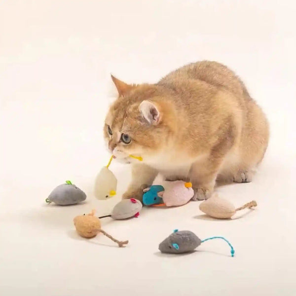 Catnip Toy, Cats Mouse Plush Cat Toys, Cat Mice & Animals Toys for Indoor Cats and Kittens, Cat Chew Toy for Exercise for Pet Cat Kitten Kitty (6 Packs)8