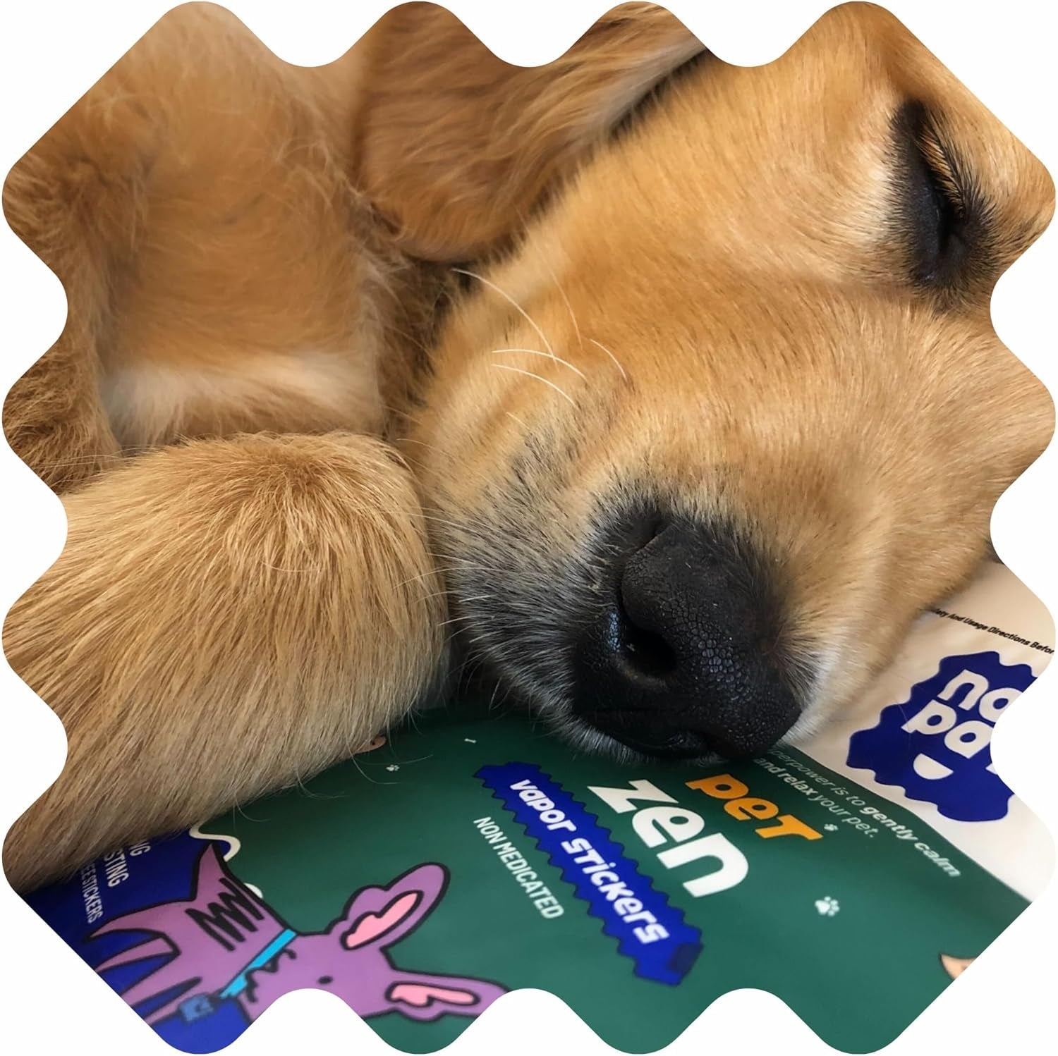 natpat-pet-zen-calming-patches-for-dogs-non-medicated-24-count-plant-based-essential-oils-stress-relief-for-travel-fireworks-anxiety-stick-on-design-for-collars-or-pet-lockets