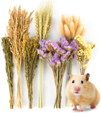 Sukh 60PCS Hamster Sprays - Natural Flower Herb Bedding & Habitat Decor | Natural Grain and Herb Sprays for Syrian & Dwarf Hamsters, Gerbils, Rabbits and Small Pets, for Foraging and Cage Enrichment1