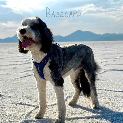Shawnco Basecamp Dog Harness, No-Pull Pet Vest with 3 Leash Clips, Padded, Reflective, Lightweight and Adjustable Harness with Handle for Small, Medium and Large Dogs (ICY Lilac, M)6