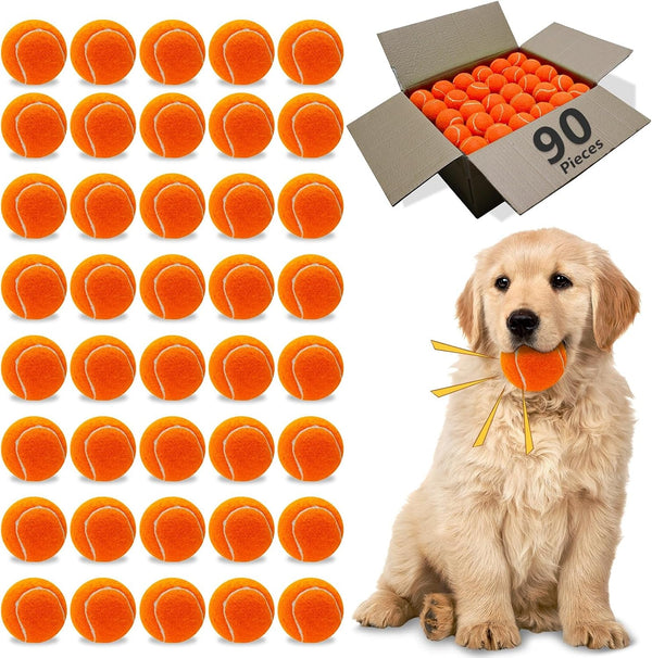 Magicorange Dog Tennis Balls, 20 Pack 2.5 Inch Squeaky Tennis Balls | Floatable Squeaky Dog Balls for All Breed Dogs,Natural Rubber,Colorful Easy Catching Multicolor,With Mesh Bag10