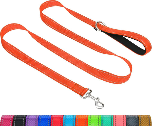 Taglory Reflective Dog Leash for Small Dogs, 3/4In X 6Ft, Black | Ideal for Night Walking, Strong for Sudden Pulls, Lightweight & Gentle on the Neck, Soft Padded Handle9