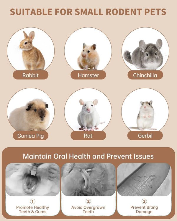 31PCS Rabbit Chew Treat Toys for Teeth Health, Natural Bunny Enrichment Toys for Boredom & Stress Relief, Keep Busy Toys for Guinea Pig Chinchilla Hamster Rat Gerbil Degu Indoor Outdoor6