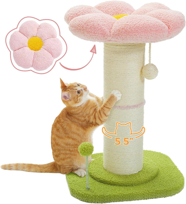 PEQULTI Flower Cat Scratching Post, Super Thick 5.5In Sisal Post, Pink | Small Cat & Kitten Scratcher: Removable Flower Bed, Sisal + Spring Ball, Enlarged Double Base; Cute Pink Flower Cat Tree1