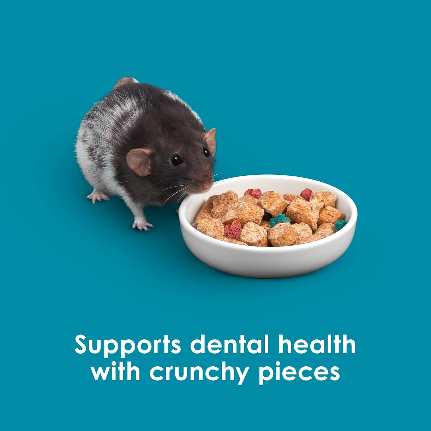 kaytee-forti-diet-pro-health-small-animal-food-for-mouse-and-pet-rats-3-pound