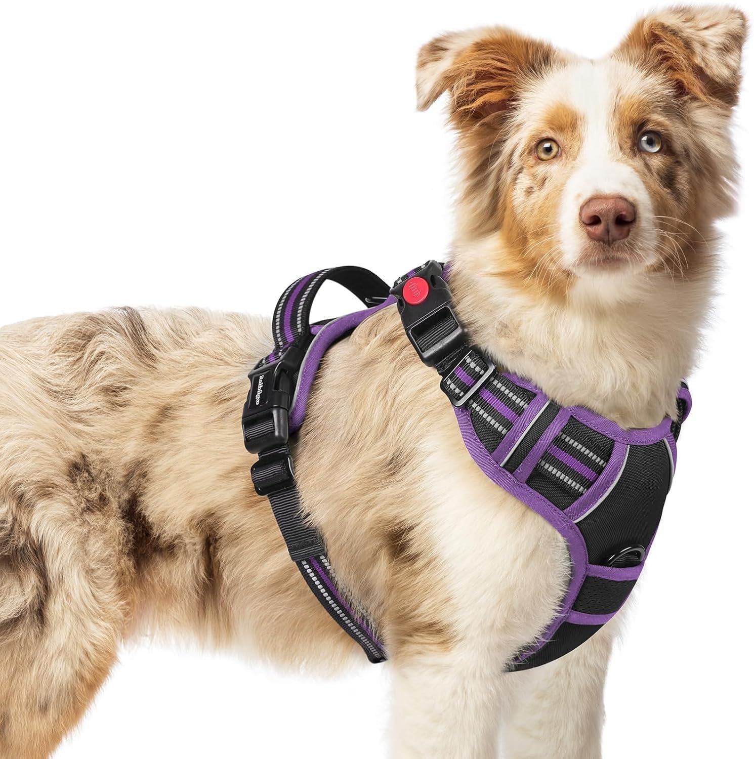 rabbitgoo-dog-harness-medium-sized-updated-easy-on-off-with-3-buckles-no-pull-no-choke-walking-with-2-clips-and-handle-adjustable-soft-reflective-blue-medium
