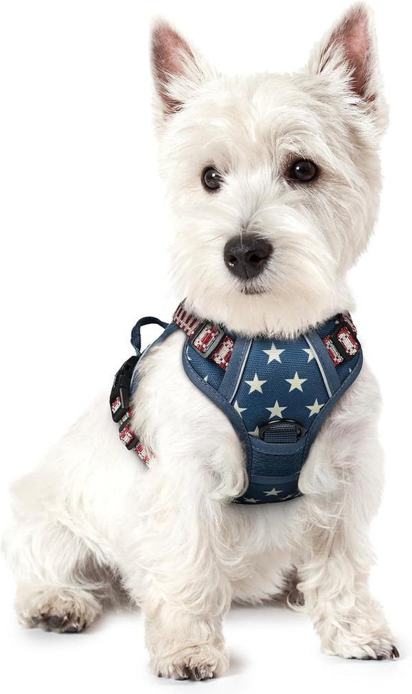 Rabbitgoo Dog Harness, No Pull for Large Dogs with 2 Leash Clips, Pet Vest | No Choke with Handle, Adjustable Soft Padded, Reflective, Easy Control for Walking, Black, Large17