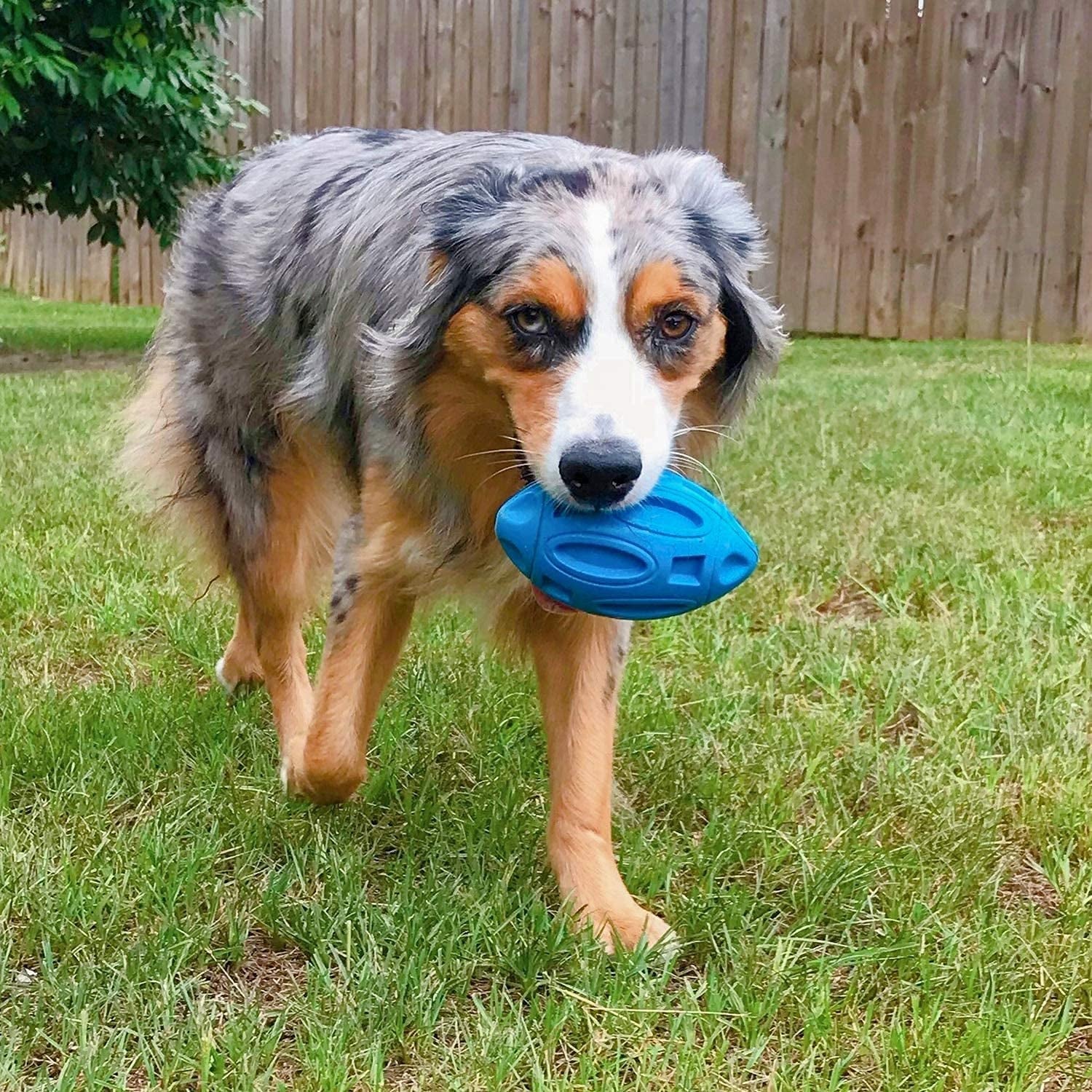 eastblue-squeaky-dog-toys-for-aggressive-chewers-rubber-puppy-chew-ball-with-squeaker-almost-indestructible-and-durable-pet-toy-for-medium-and-large-breed