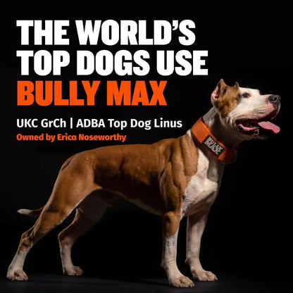 Bully Max Dry Dog Food for Adults & Puppies - High Protein & Fat for Muscle & Weight Gain - High Performance Dog Food Supplements - Small & Large Breed Dogs (535 Calories per Cup), Chicken, 15Lb Bag10