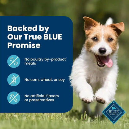 Blue Buffalo Natural Dental Chews for Small Dogs 5-20 Lbs., Chicken & Spearmint, Daily Teeth Cleaning Dog Treats, Enhanced with Vitamins & Minerals, 11.3-Oz. Bag (28 Treat Count)8