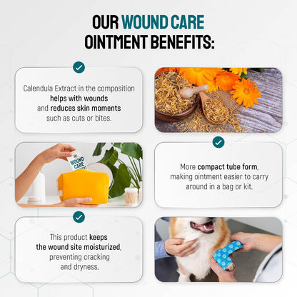Dog Wound Care Ointment with Silver & Calendula for Scratches, Irritations, Bites – Feline & Canine Hot Spots Treatment in a Gel Form – Wound Antibiotic Ointment for Dogs & Cats – 2 Oz8