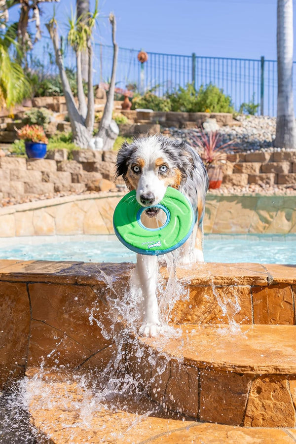Chuckit! Amphibious Zipflight Floating and Flying Disc Dog Toy, Medium (8.5"), Assorted Colors (Orange and Blue/Green and Blue)2