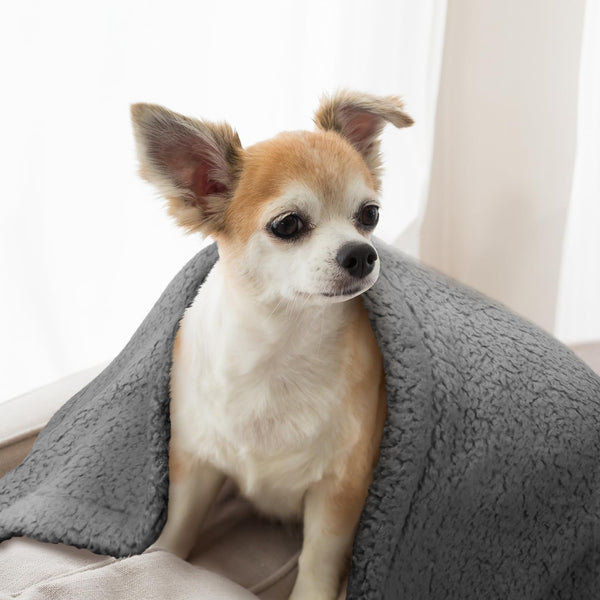 Furrybaby Dog Blanket Soft Dog Blankets for Large Dogs Puppy Essentials Washable Sherpa Fleece Cat Blanket 32X40 Inches for Bed Furniture Couch Sofa (Medium, Grey)5