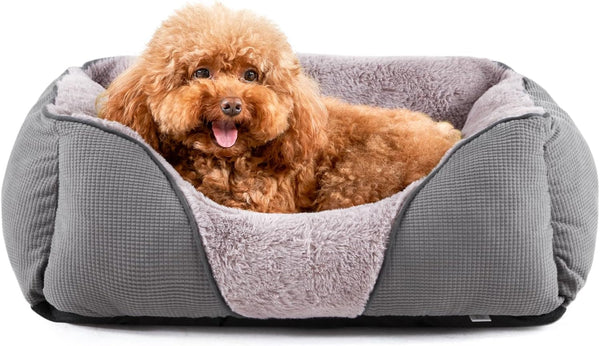 MIXJOY Dog Bed for Large Medium Small Dogs, Rectangle Washable Sleeping Puppy Bed, Soft Calming Cat Beds for Indoor Cats, Orthopedic Pet Sofa Bed, Anti-Slip Bottom with Multiple Size (20'', Grey)15