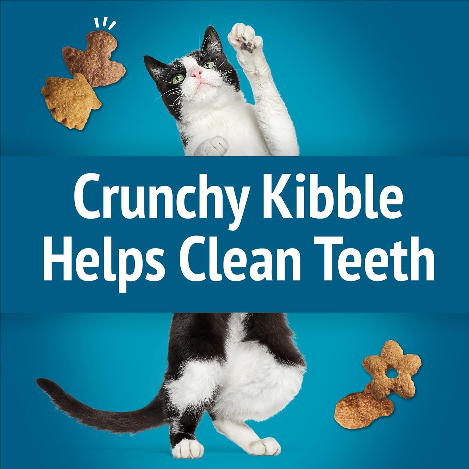 purina-friskies-cat-treats-party-mix-seafood-lovers-crunch-pack-of-6-6-oz-pouches