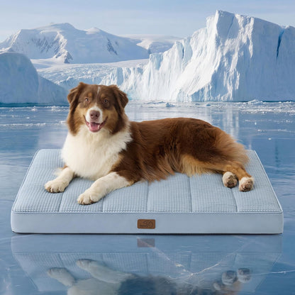 Bedsure Washable Dog Beds Large Sized Dog with Comfy Sherpa, 36X27In Grey | Orthopedic Egg Crate Foam,Comfort Support Flat Rectangle Pet Mat,Non-Slip Bottom,Removable Cover,For Large Breed up to 55 Lbs30