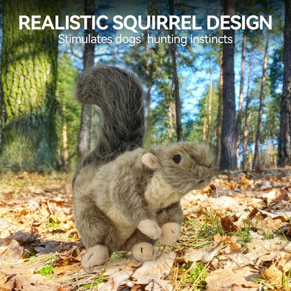 ALL for PAWS Interactive Dog Squirrel Plush Squeaky Toy - Perfect Puppy Enrichment Toy, Large3