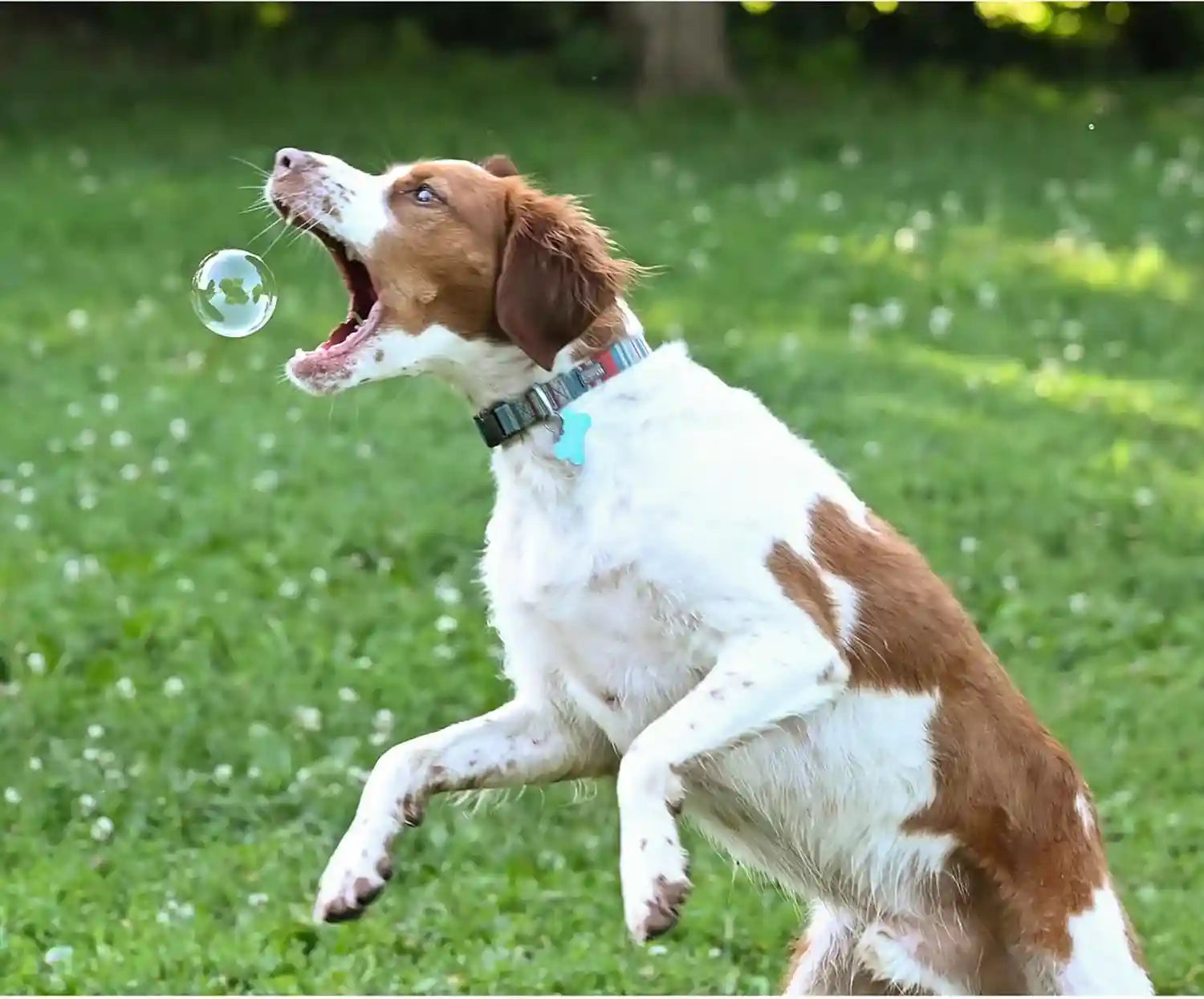 puppy-love-bubbles-peanut-butter-bacon-scented-bubbles-4oz-bottle-2-pack-combo-1-peanut-butter-1-bacon-for-dogs