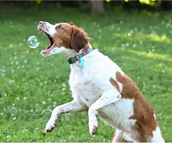 Puppy Love Bubbles, Peanut Butter & Bacon Scented Bubbles 4Oz. Bottle-2 Pack Combo (1 Peanut Butter/1 Bacon) for Dogs13