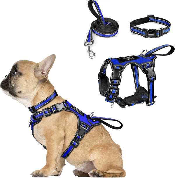 WINSEE Pet Harness Collar and Leash Set, All-In-One Reflective Dog Harness No Pull with Adjustable Buckles for Puppies, Small, Medium, Large, and Extra-Large Dogs (Large, Pink)16