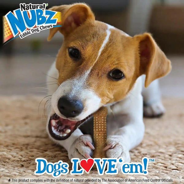 Nylabone Nubz Wild Natural Dog Treats, Bison Flavor, Small, 12 Count | Long Lasting Dog Chews, Made in USA, Limited Ingredients, Highly Digestible, Dog Dental Treats for Small Dogs up to 30 Lbs6