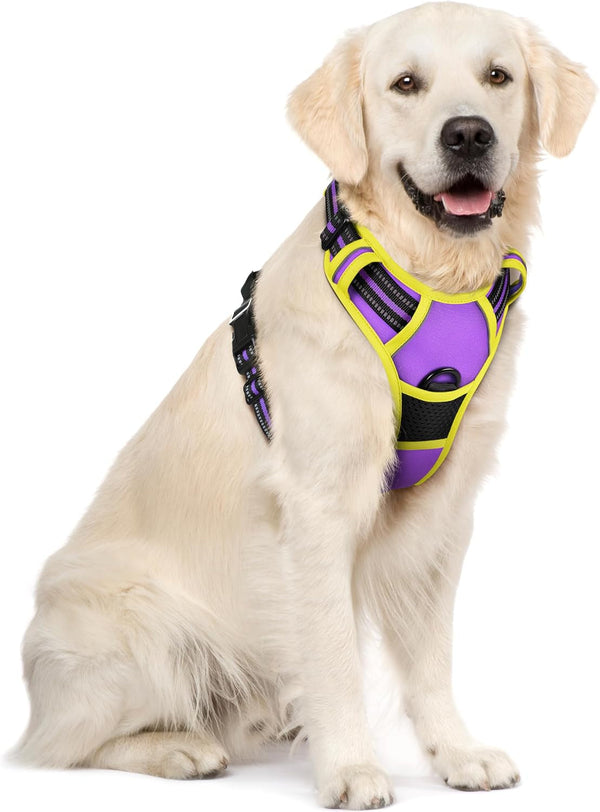 Rabbitgoo Dog Harness, No Pull for Large Dogs with 2 Leash Clips, Pet Vest | No Choke with Handle, Adjustable Soft Padded, Reflective, Easy Control for Walking, Black, Large31