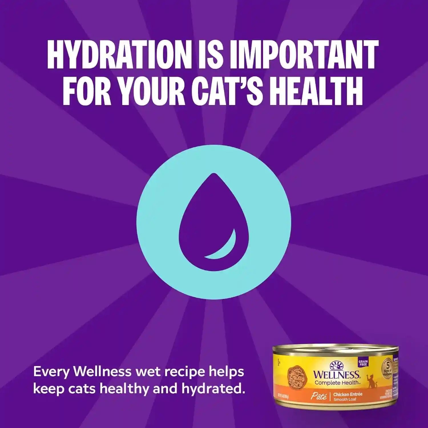 wellness-complete-health-pate-variety-pack-kitten-canned-wet-cat-food-natural-protein-rich-grain-free-whitefish-and-chicken-recipes-3-oz-pack-of-12-cans