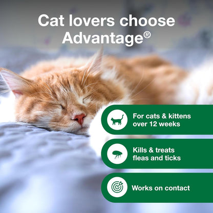 Advantage Cat Flea & Tick Shampoo for Kittens & Adult Cats | Kills Fleas & Ticks | 8 Oz.3