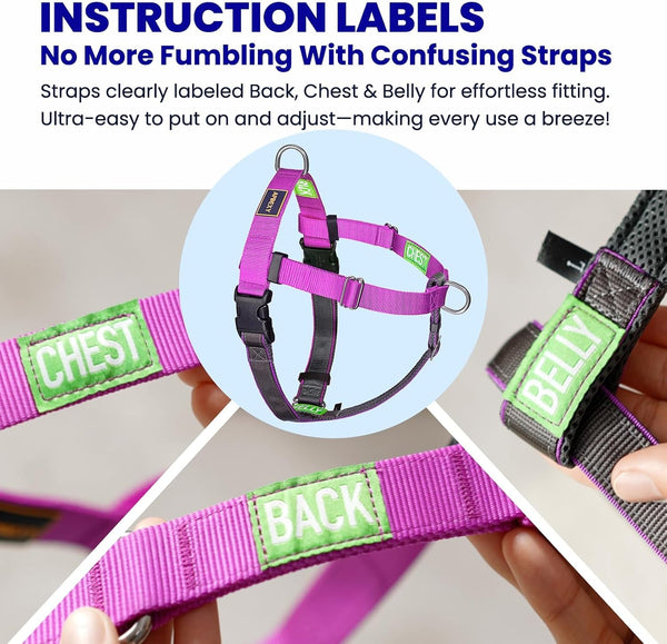 Freedom No Pull Dog Harness, Purple, Large | Designed for Hound Dog Train, Easy Walk with 2 Stainless D-Rings, Sewn-In Instructions Tags, 60-80 Lbs4