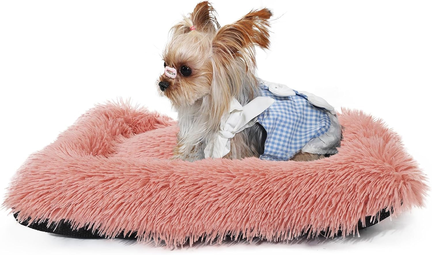 nononfish-dog-crate-bed-for-small-dogs-washable-orthopedic-flat-for-inside-crate-cages-kennel-house-sofa-plush-comfy-sleeping-beige-24-in
