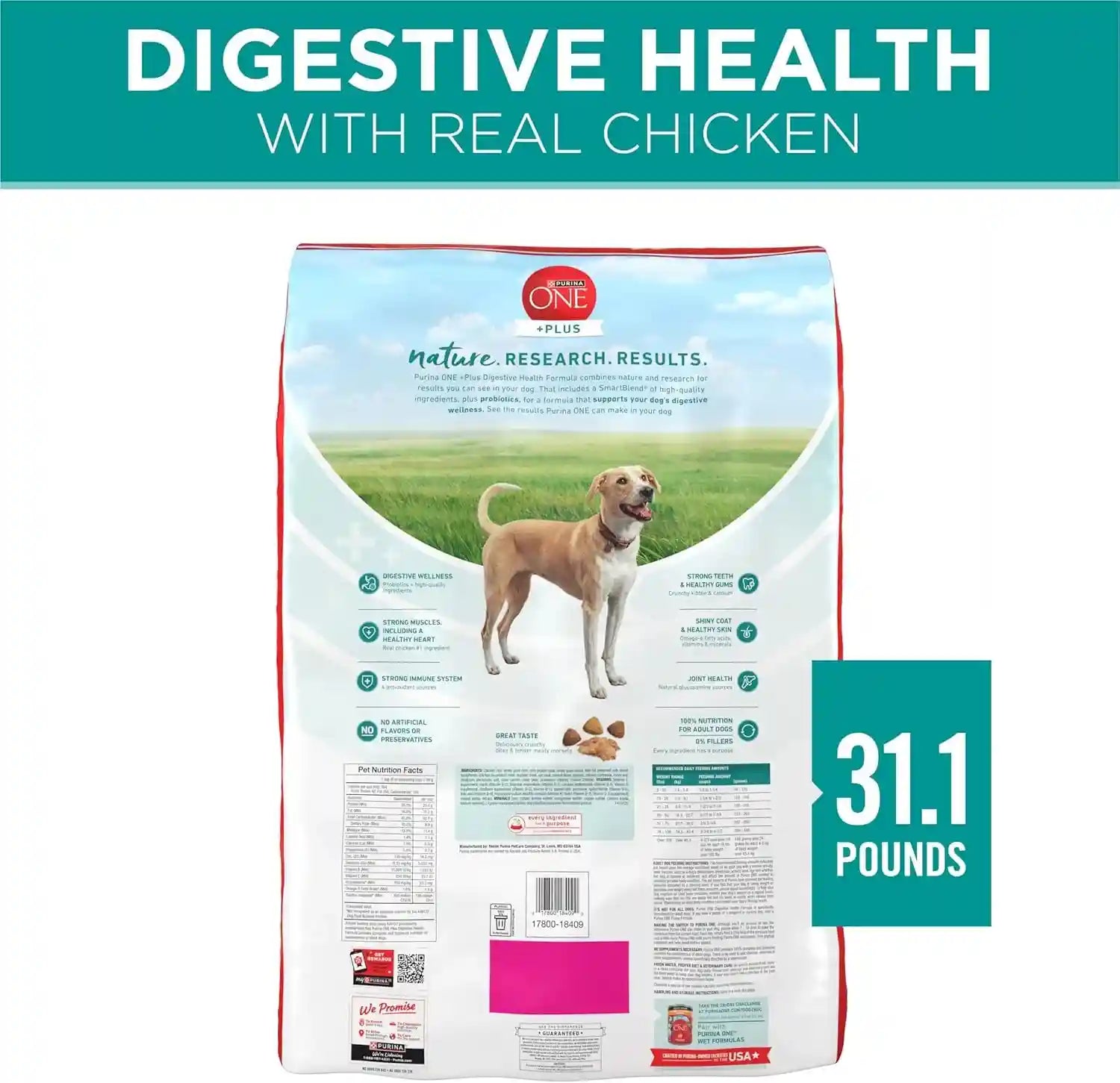 purina-one-plus-digestive-health-formula-dry-dog-food-natural-with-added-vitamins-minerals-and-nutrients-31-1-lb-bag