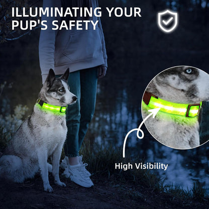 Super Bright LED Dog Collar, Waterproof Light up Collars(Green, Medium) | Lighted Dog Collar with Adjustable Fit, Soft Nylon Comfort, USB-C Rechargeable, Glow in the Dark Visibility for Night Walks3