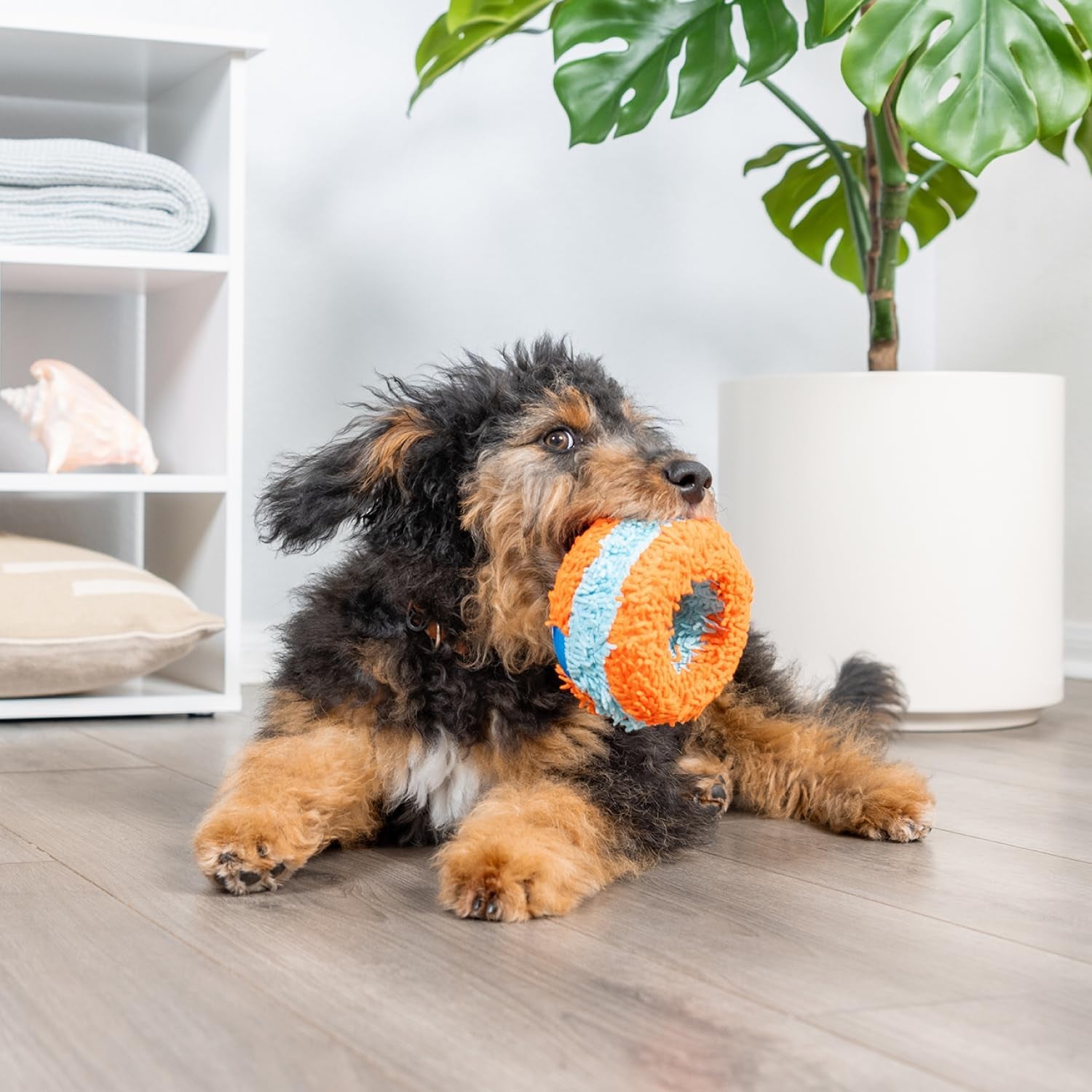 chuckit-indoor-fetch-roller-toy-for-dogs-interactive-dog-toys-for-boredom-orange-and-blue