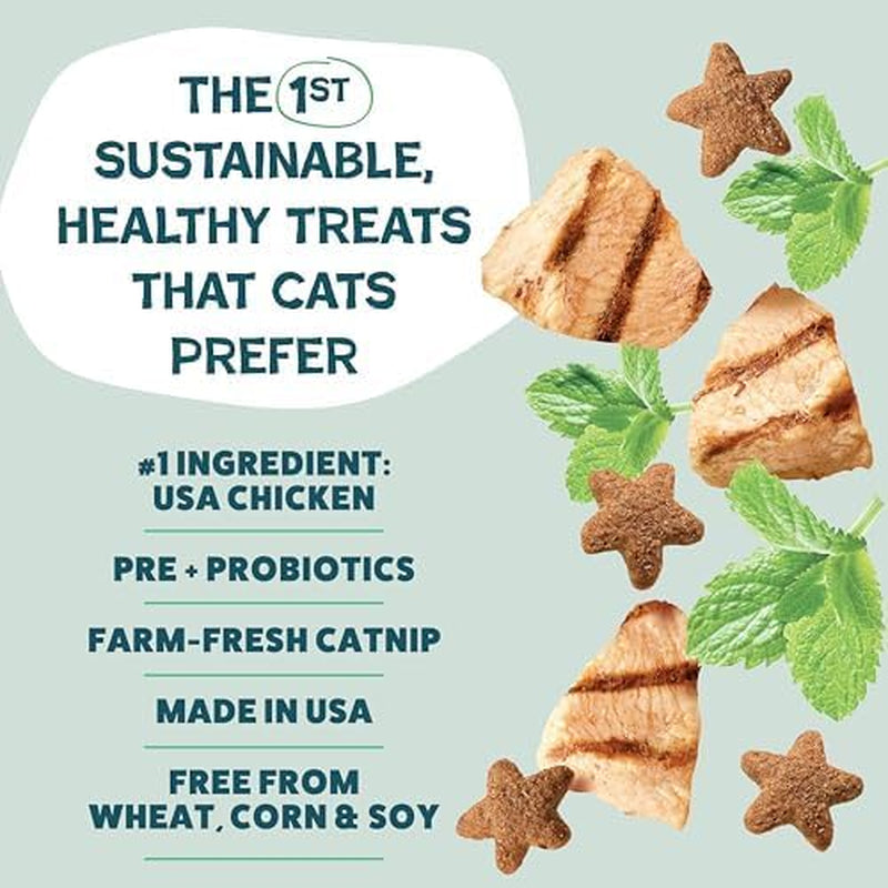 shameless-pets-crunchy-cat-snacks-treats-healthy-cat-treats-for-indoor-cats-kittens-with-catnip-real-chicken-digestive-support-catnip-n-chill-2-5-oz