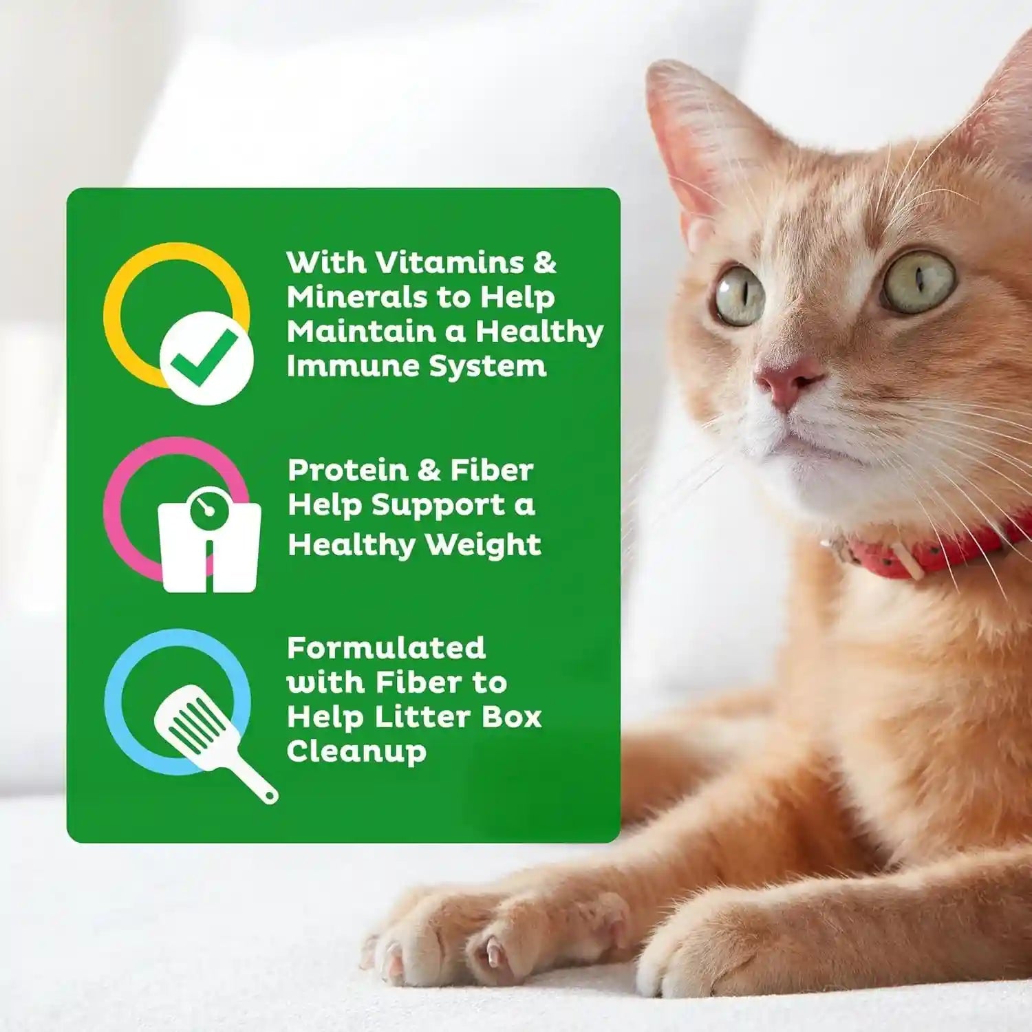 9lives-indoor-complete-dry-cat-food-20-lb-bag