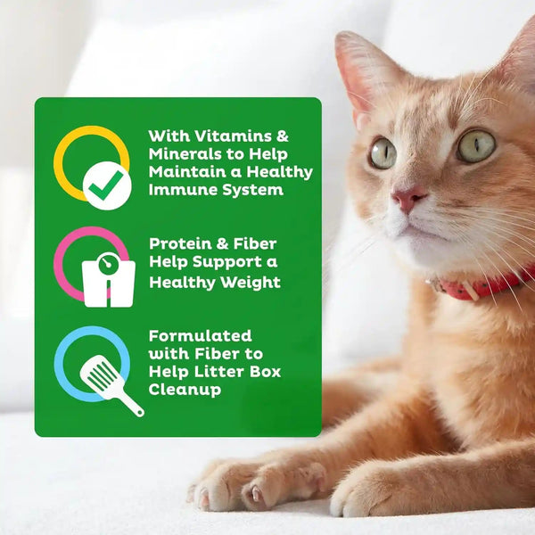 9Lives Indoor Complete Dry Cat Food, 20 Lb. Bag5