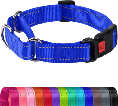 Joytale Martingale Collar for Dogs, Escape Proof No Pull, Hotpink, M | Gentle Cinch Stops Pulling without Choking, Safety Lock Buckle, Reflective Stitching for Night Walks, Soft Nylon9