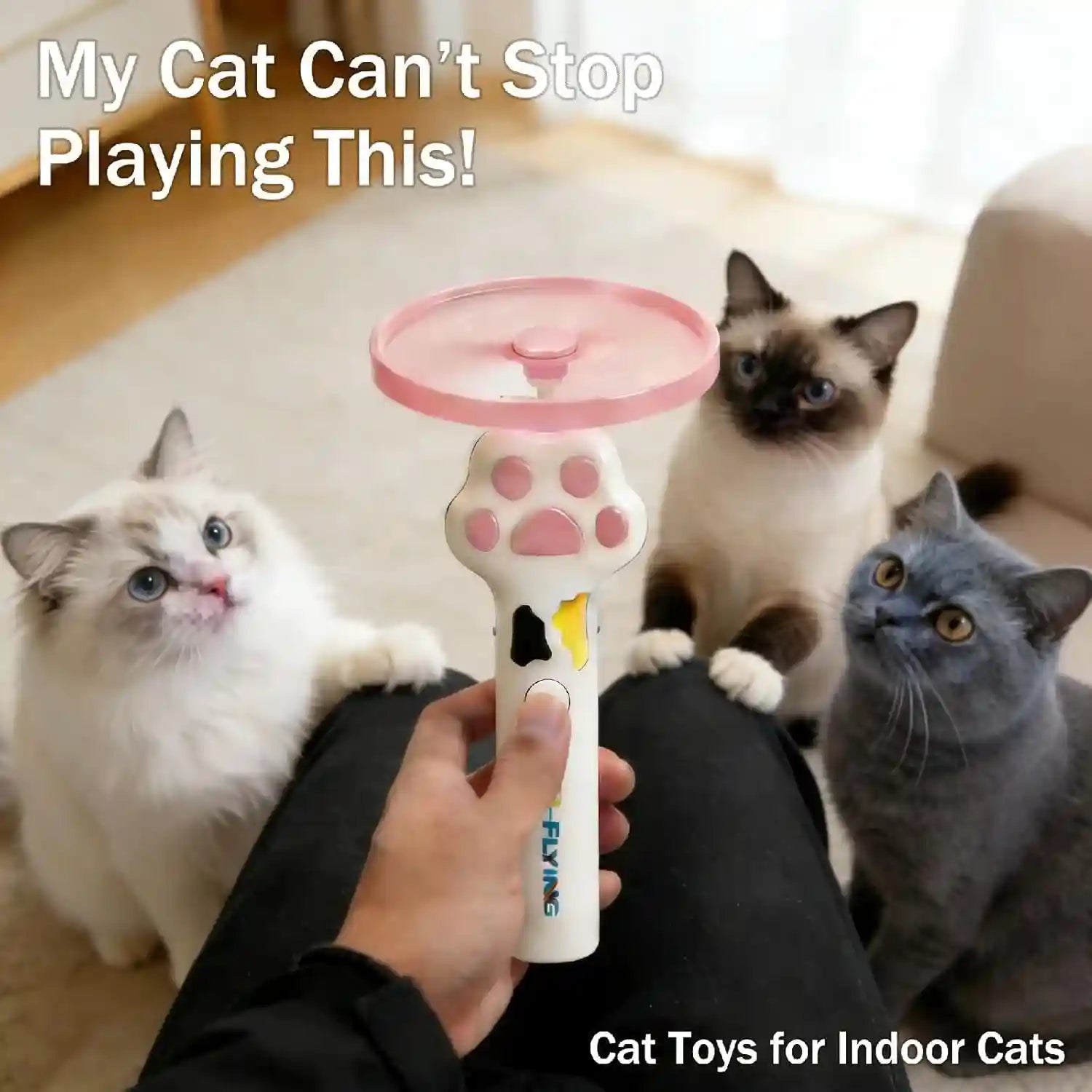 cat-fetch-toy-launcher-with-10-soft-flexible-discs-cat-toys-for-indoor-cats-led-glowing-launcher-electric-interactive-kitten-toy-for-hunting-exercise-usb-rechargeable