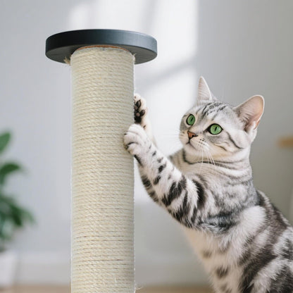 4 PCS M8 15.7 X 2.75 Inch Cat Scratching Post Replacement, Sisal Pole Cat Tree Replacement Post with Screws, Refill Scratcher Posts for Indoor Kitten Tree Tower Spare Cats Furniture Protector6