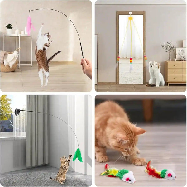 Depets Cat Wand Toy, 15 Pcs Interactive Cat Feather Toys for Indoor Self Play & Exercise, 2 Play Modes Kitten Teaser Wand, Reusable Suction Cup Kitten Toys5