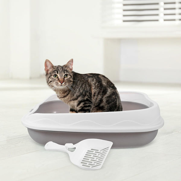 ARTIBETTER Semi-Enclosed Cat Litter Box with Scoop, Small Gray Kitten Litter Pan, Splash-Resistant Open Design, Pet Toilet for Cats and Kittens, Suitable for Indoor Housebreaking6