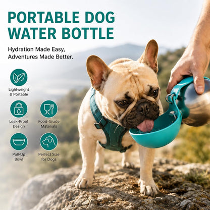 Portable Dog Water Bottle 10Oz Stainless Steel Travel Dog Water Dispenser with Bowl No-Spill Puppy Water Bottle for Walking Hiking Small Dog Water Bottles Leak-Proof Collapsible Silicone Bowl7