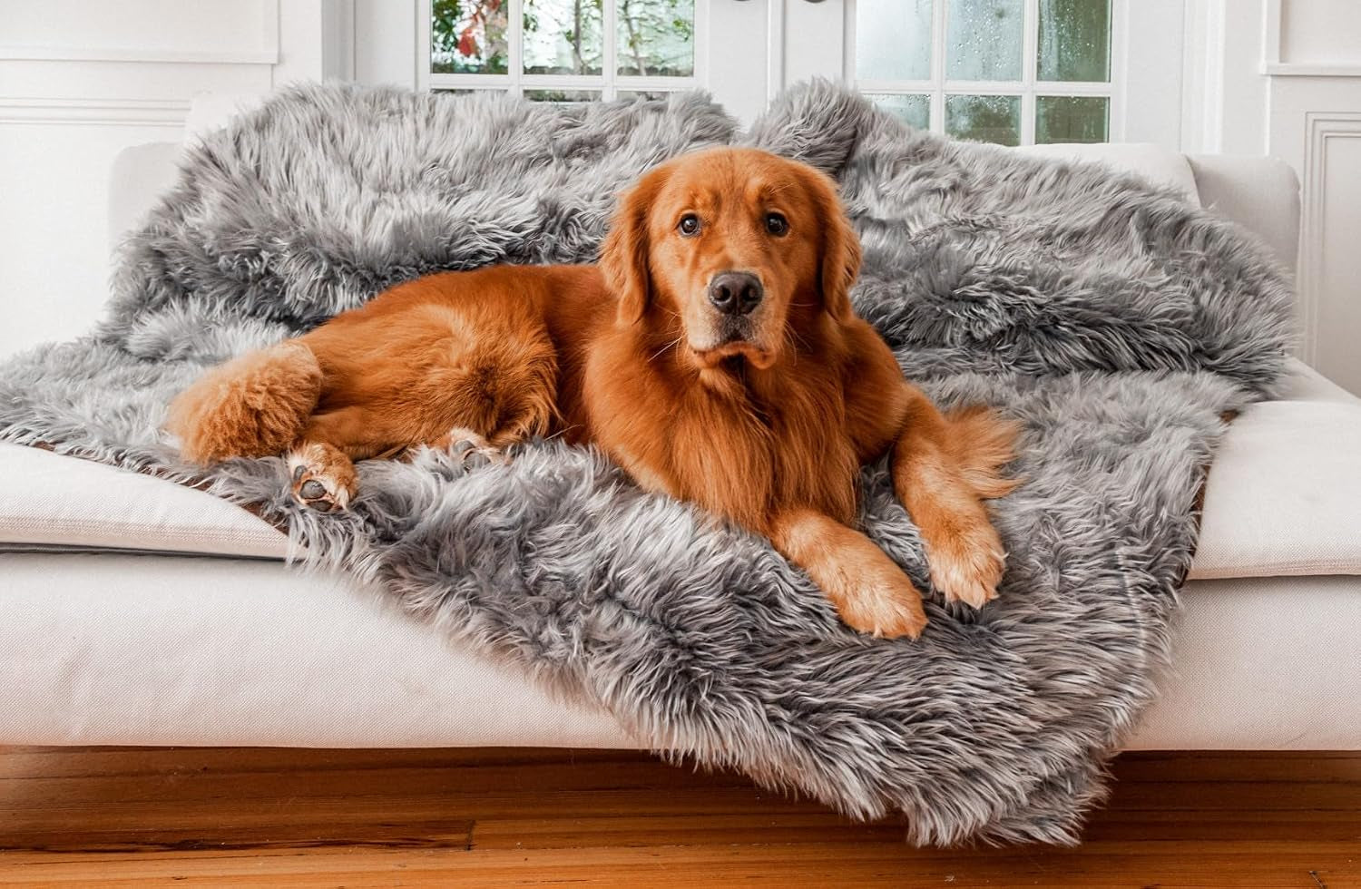 paw-brands-pupprotector-waterproof-throw-blanket-white-brown-60x50-waterproof-machine-washable-protects-couches-beds-car-seats